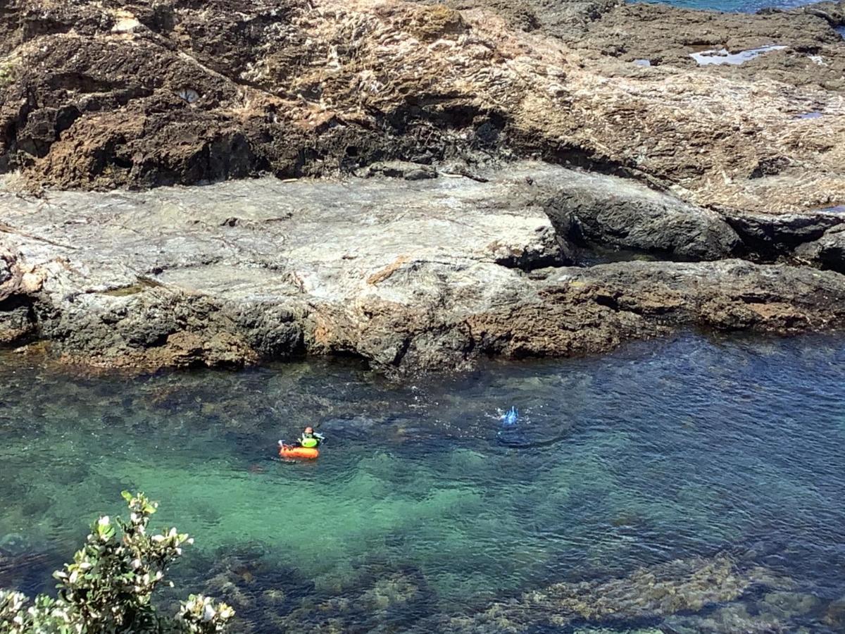 Chasing George Villa Port Macquarie Bagian luar foto